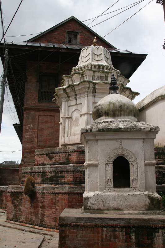 India & Nepal 2011 - 0248